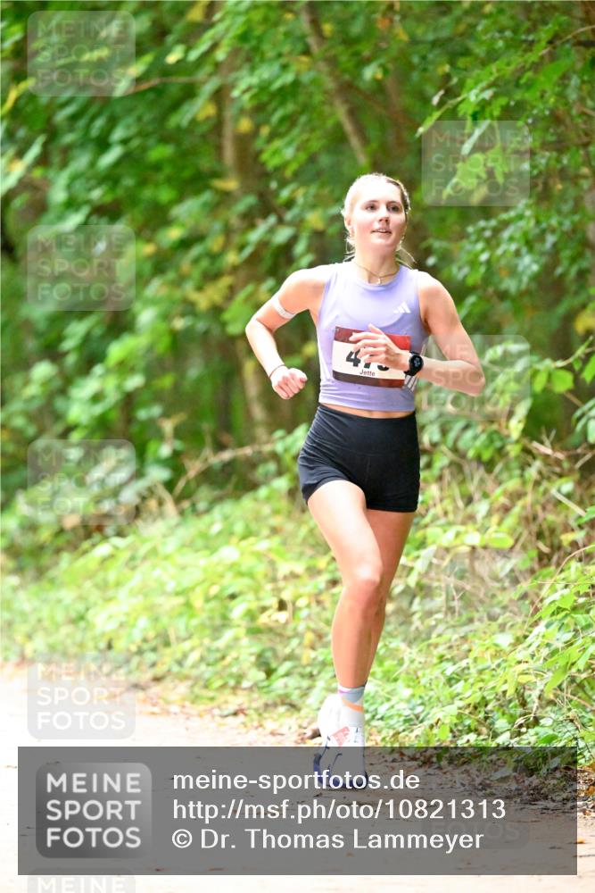 11.10.2026 - Bramfelder Halbmarathon 2026 Dr. Thomas Lammeyer http://msf.ph/oto/10821313 11.10.2026 10:26:00 Laufen  meine-sportfotos.de
