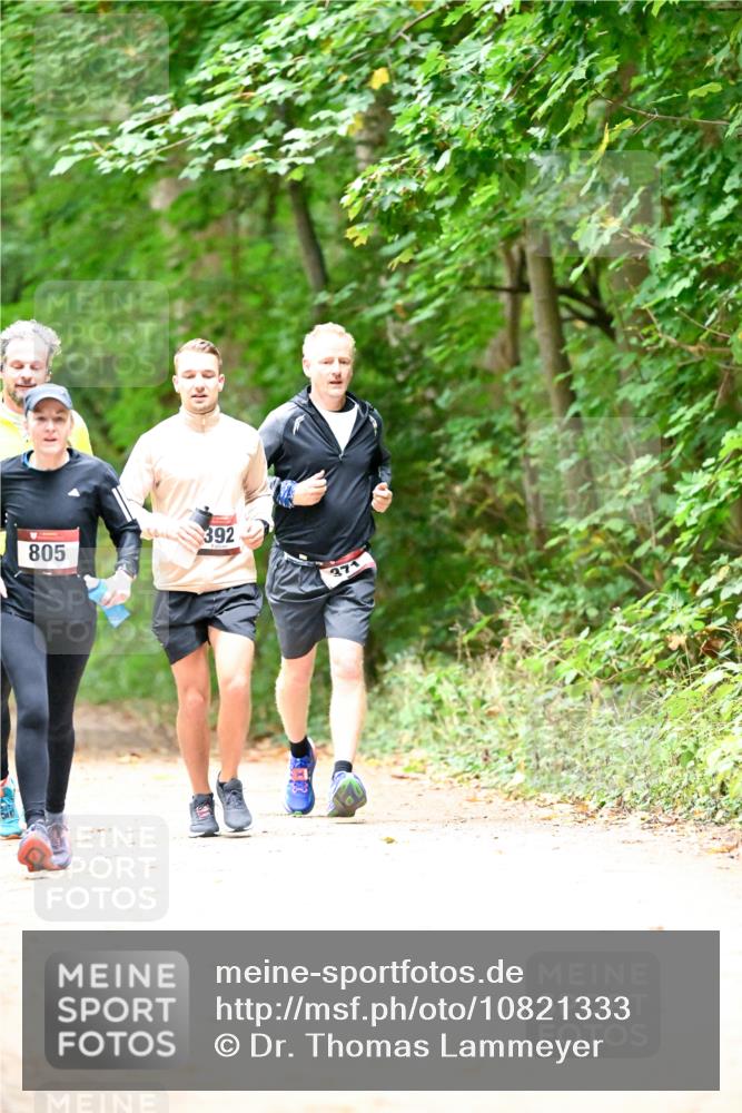 11.10.2026 - Bramfelder Halbmarathon 2026 Dr. Thomas Lammeyer http://msf.ph/oto/10821333 11.10.2026 10:26:12 Laufen 392, 805, 371 meine-sportfotos.de