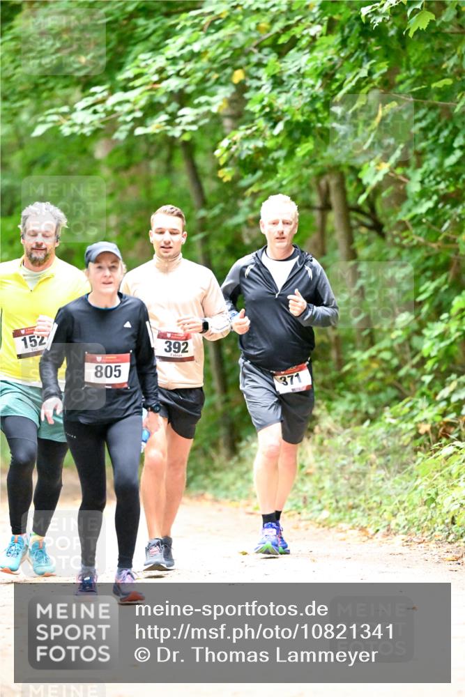 11.10.2026 - Bramfelder Halbmarathon 2026 Dr. Thomas Lammeyer http://msf.ph/oto/10821341 11.10.2026 10:26:13 Laufen 152, 805, 392, 371 meine-sportfotos.de