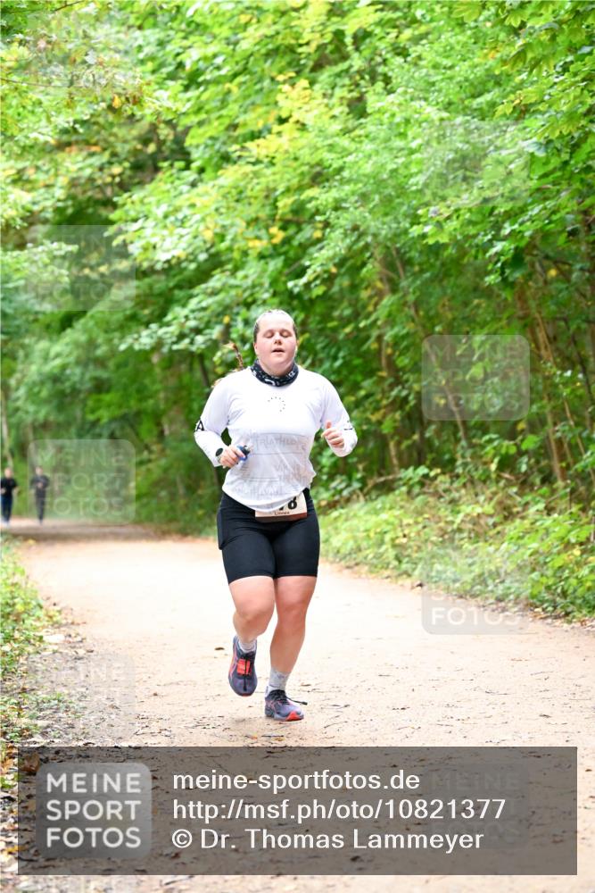 11.10.2026 - Bramfelder Halbmarathon 2026 Dr. Thomas Lammeyer http://msf.ph/oto/10821377 11.10.2026 10:26:27 Laufen  meine-sportfotos.de