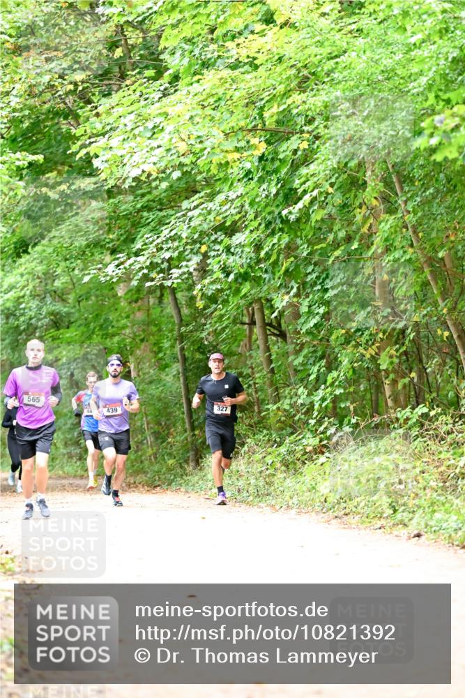 11.10.2026 - Bramfelder Halbmarathon 2026 Dr. Thomas Lammeyer http://msf.ph/oto/10821392 11.10.2026 10:26:55 Laufen 565, 44, 439, 327 meine-sportfotos.de