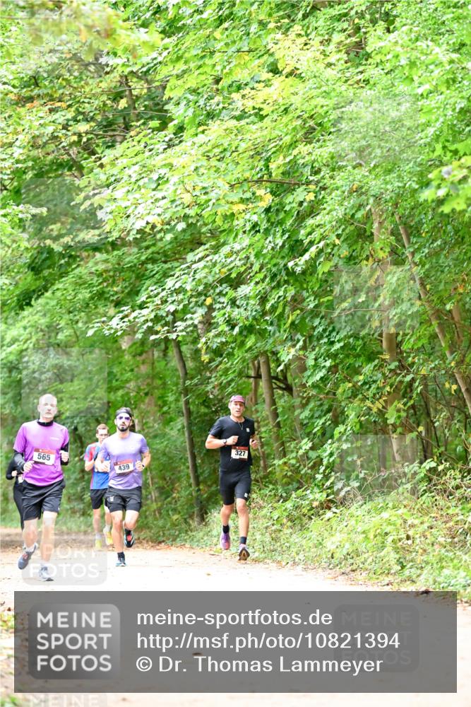 11.10.2026 - Bramfelder Halbmarathon 2026 Dr. Thomas Lammeyer http://msf.ph/oto/10821394 11.10.2026 10:26:56 Laufen 565, 439, 327 meine-sportfotos.de