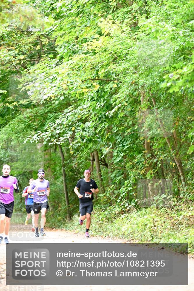 11.10.2026 - Bramfelder Halbmarathon 2026 Dr. Thomas Lammeyer http://msf.ph/oto/10821395 11.10.2026 10:26:56 Laufen 565, 444, 439, 327 meine-sportfotos.de