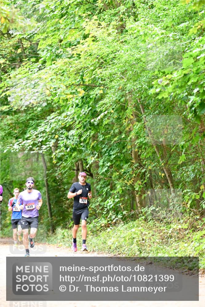 11.10.2026 - Bramfelder Halbmarathon 2026 Dr. Thomas Lammeyer http://msf.ph/oto/10821399 11.10.2026 10:26:56 Laufen 44, 439, 327 meine-sportfotos.de