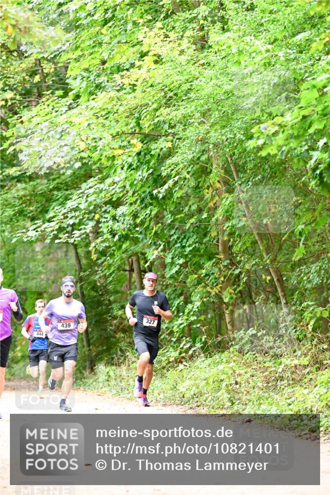 11.10.2026 - Bramfelder Halbmarathon 2026 Dr. Thomas Lammeyer http://msf.ph/oto/10821401 11.10.2026 10:26:56 Laufen 444, 439, 327 meine-sportfotos.de