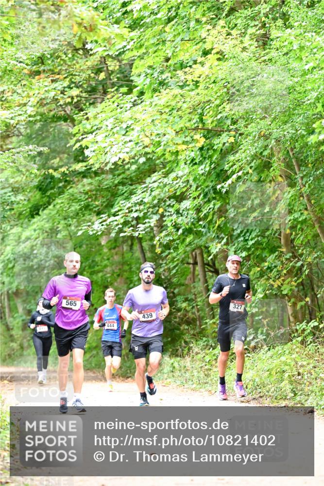 11.10.2026 - Bramfelder Halbmarathon 2026 Dr. Thomas Lammeyer http://msf.ph/oto/10821402 11.10.2026 10:26:57 Laufen 565, 444, 439, 327 meine-sportfotos.de