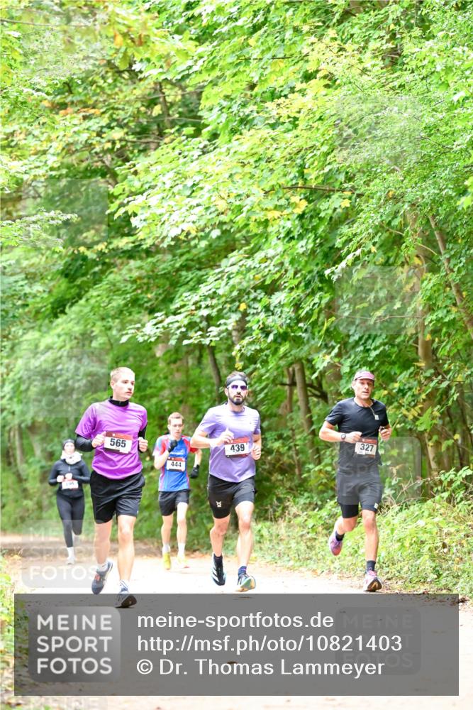 11.10.2026 - Bramfelder Halbmarathon 2026 Dr. Thomas Lammeyer http://msf.ph/oto/10821403 11.10.2026 10:26:57 Laufen 565, 444, 439, 327 meine-sportfotos.de
