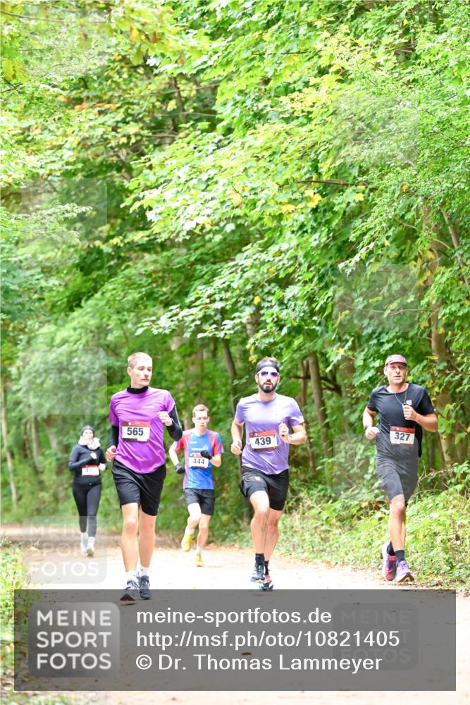 11.10.2026 - Bramfelder Halbmarathon 2026 Dr. Thomas Lammeyer http://msf.ph/oto/10821405 11.10.2026 10:26:57 Laufen 565, 444, 439, 327 meine-sportfotos.de