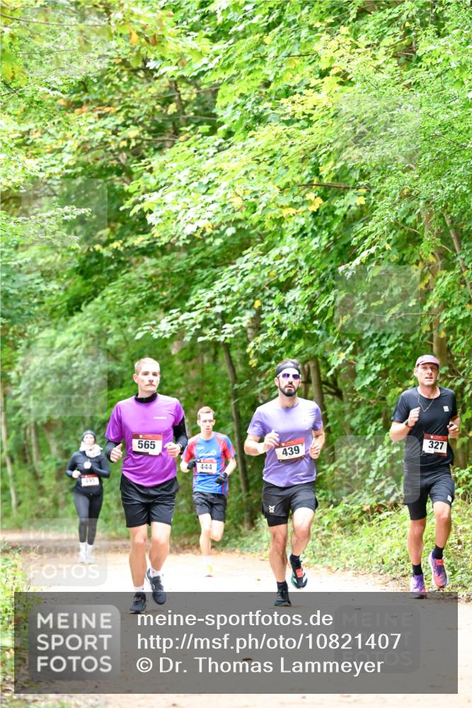 11.10.2026 - Bramfelder Halbmarathon 2026 Dr. Thomas Lammeyer http://msf.ph/oto/10821407 11.10.2026 10:26:58 Laufen 495, 565, 444, 439, 327 meine-sportfotos.de