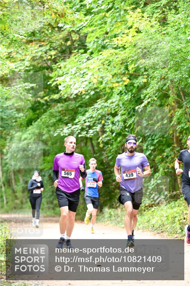 11.10.2026 - Bramfelder Halbmarathon 2026 Dr. Thomas Lammeyer http://msf.ph/oto/10821409 11.10.2026 10:26:58 Laufen 565, 444, 439 meine-sportfotos.de