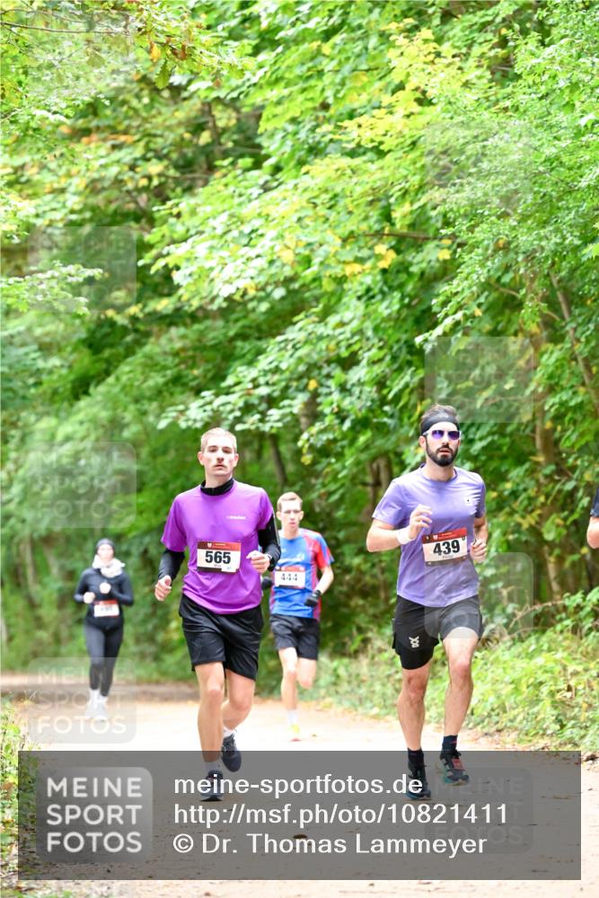 11.10.2026 - Bramfelder Halbmarathon 2026 Dr. Thomas Lammeyer http://msf.ph/oto/10821411 11.10.2026 10:26:58 Laufen 565, 444, 439 meine-sportfotos.de