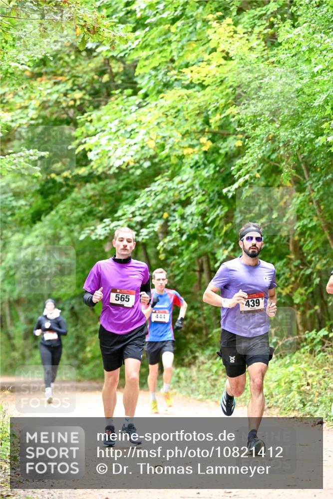 11.10.2026 - Bramfelder Halbmarathon 2026 Dr. Thomas Lammeyer http://msf.ph/oto/10821412 11.10.2026 10:26:58 Laufen 565, 444, 439 meine-sportfotos.de
