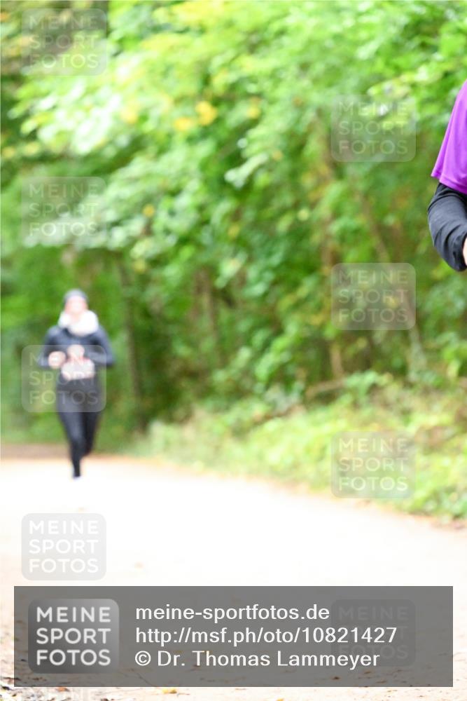11.10.2026 - Bramfelder Halbmarathon 2026 Dr. Thomas Lammeyer http://msf.ph/oto/10821427 11.10.2026 10:27:01 Laufen  meine-sportfotos.de