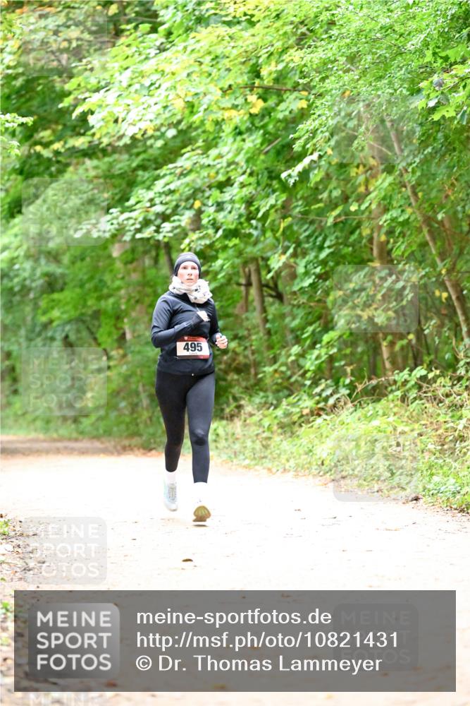 11.10.2026 - Bramfelder Halbmarathon 2026 Dr. Thomas Lammeyer http://msf.ph/oto/10821431 11.10.2026 10:27:02 Laufen 495 meine-sportfotos.de