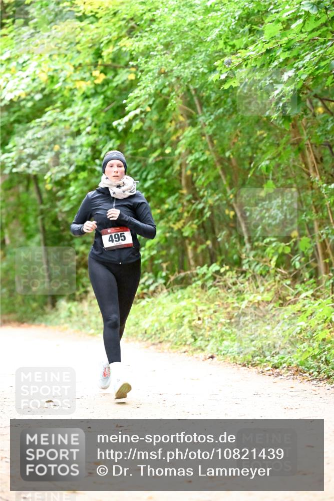 11.10.2026 - Bramfelder Halbmarathon 2026 Dr. Thomas Lammeyer http://msf.ph/oto/10821439 11.10.2026 10:27:03 Laufen 495 meine-sportfotos.de
