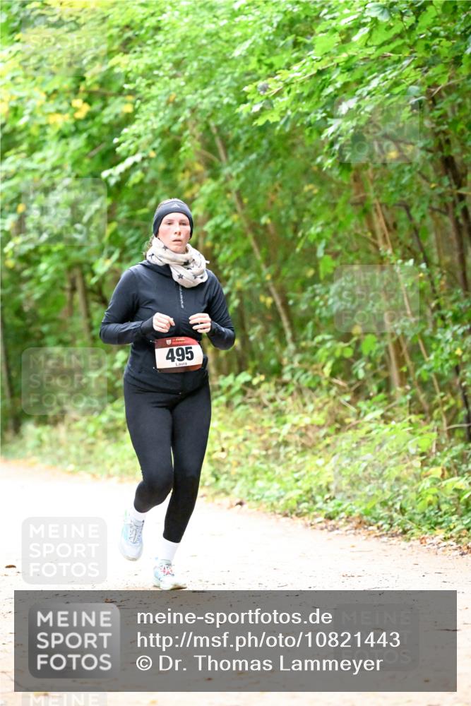 11.10.2026 - Bramfelder Halbmarathon 2026 Dr. Thomas Lammeyer http://msf.ph/oto/10821443 11.10.2026 10:27:04 Laufen 495 meine-sportfotos.de