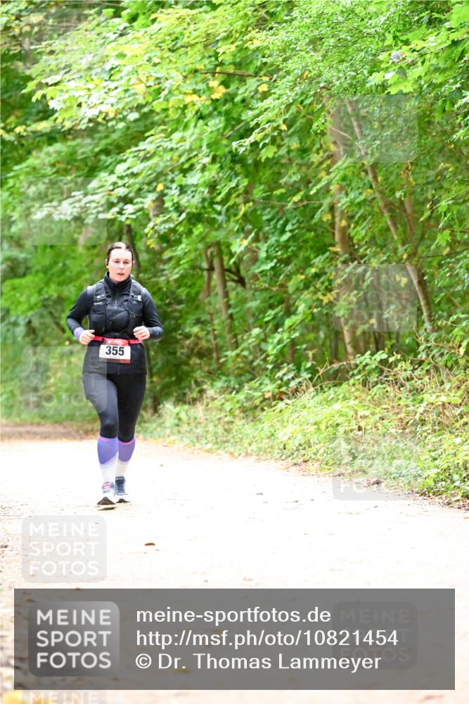 11.10.2026 - Bramfelder Halbmarathon 2026 Dr. Thomas Lammeyer http://msf.ph/oto/10821454 11.10.2026 10:27:20 Laufen 355 meine-sportfotos.de