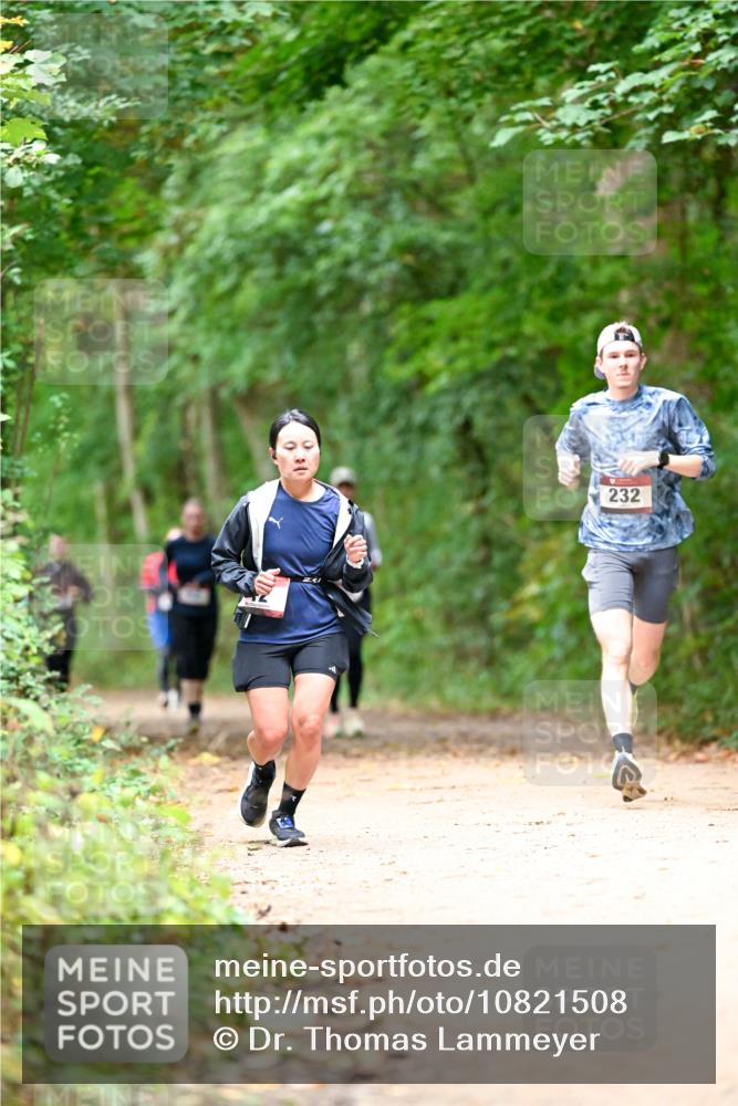 11.10.2026 - Bramfelder Halbmarathon 2026 Dr. Thomas Lammeyer http://msf.ph/oto/10821508 11.10.2026 10:27:59 Laufen 232 meine-sportfotos.de