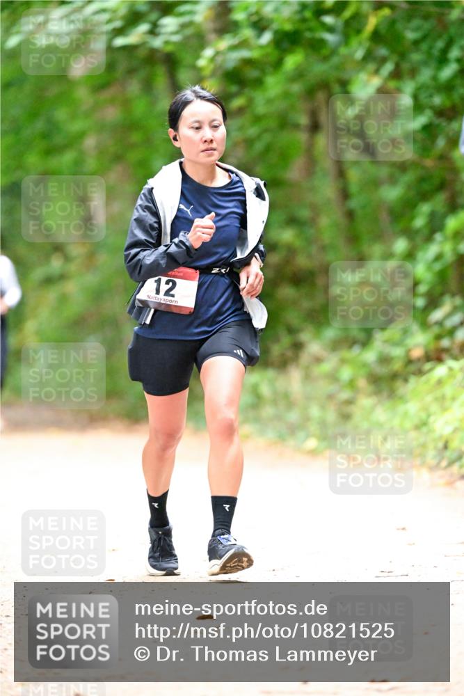 11.10.2026 - Bramfelder Halbmarathon 2026 Dr. Thomas Lammeyer http://msf.ph/oto/10821525 11.10.2026 10:28:03 Laufen 12 meine-sportfotos.de