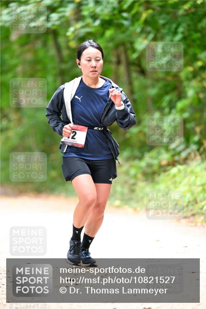 11.10.2026 - Bramfelder Halbmarathon 2026 Dr. Thomas Lammeyer http://msf.ph/oto/10821527 11.10.2026 10:28:03 Laufen 2 meine-sportfotos.de