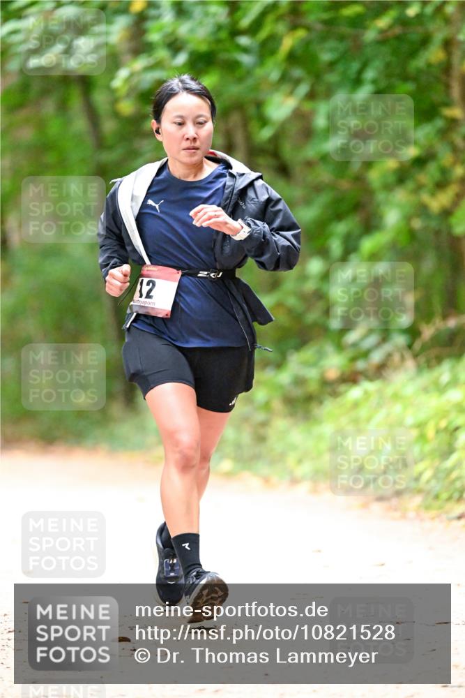 11.10.2026 - Bramfelder Halbmarathon 2026 Dr. Thomas Lammeyer http://msf.ph/oto/10821528 11.10.2026 10:28:03 Laufen 12 meine-sportfotos.de