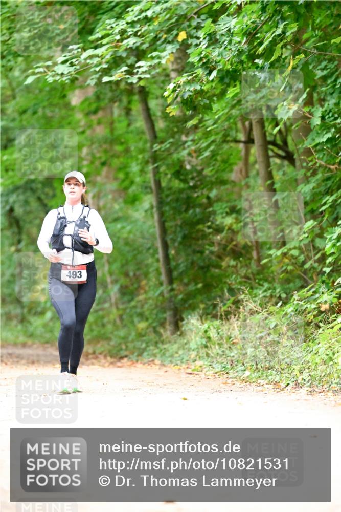11.10.2026 - Bramfelder Halbmarathon 2026 Dr. Thomas Lammeyer http://msf.ph/oto/10821531 11.10.2026 10:28:06 Laufen 493 meine-sportfotos.de