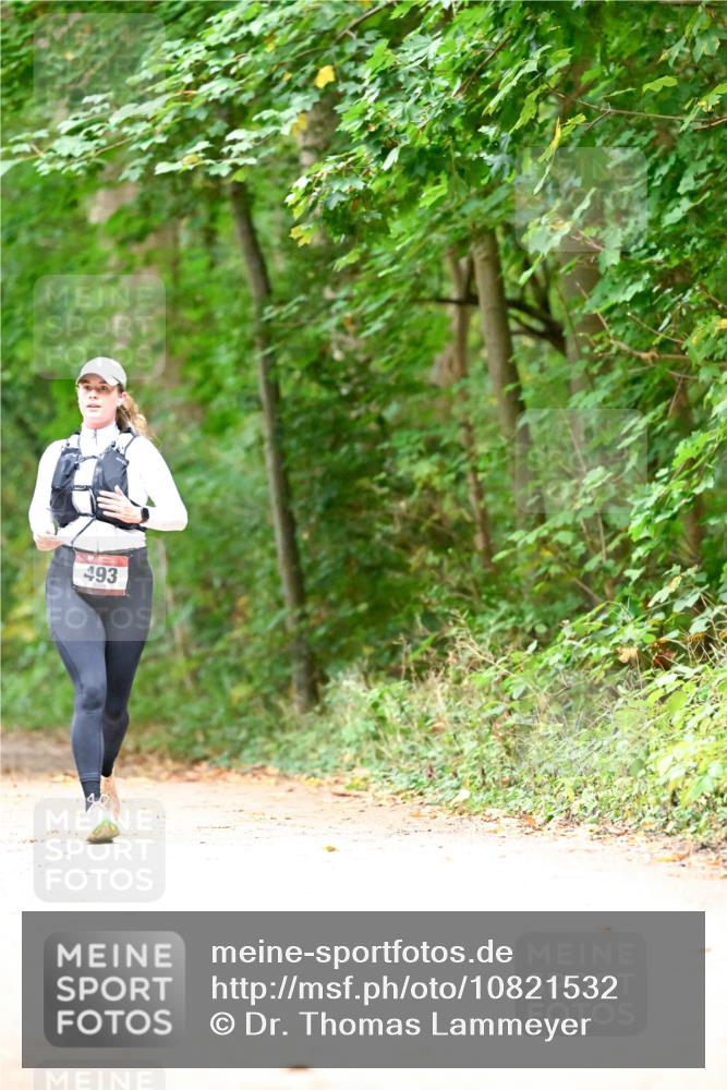 11.10.2026 - Bramfelder Halbmarathon 2026 Dr. Thomas Lammeyer http://msf.ph/oto/10821532 11.10.2026 10:28:06 Laufen 493 meine-sportfotos.de
