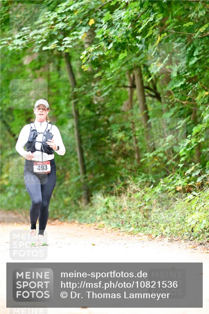 11.10.2026 - Bramfelder Halbmarathon 2026 Dr. Thomas Lammeyer http://msf.ph/oto/10821536 11.10.2026 10:28:07 Laufen 493 meine-sportfotos.de