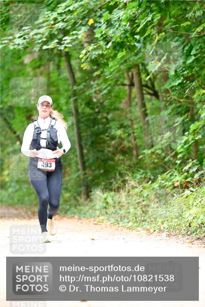 11.10.2026 - Bramfelder Halbmarathon 2026 Dr. Thomas Lammeyer http://msf.ph/oto/10821538 11.10.2026 10:28:07 Laufen 493 meine-sportfotos.de