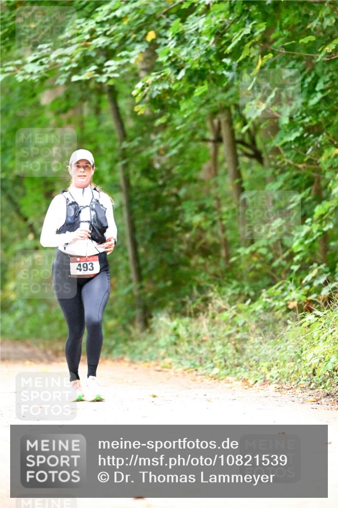 11.10.2026 - Bramfelder Halbmarathon 2026 Dr. Thomas Lammeyer http://msf.ph/oto/10821539 11.10.2026 10:28:07 Laufen 493 meine-sportfotos.de