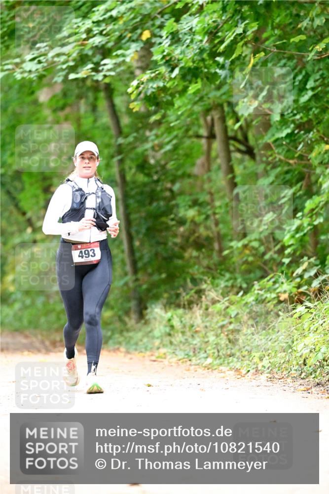 11.10.2026 - Bramfelder Halbmarathon 2026 Dr. Thomas Lammeyer http://msf.ph/oto/10821540 11.10.2026 10:28:07 Laufen 493 meine-sportfotos.de