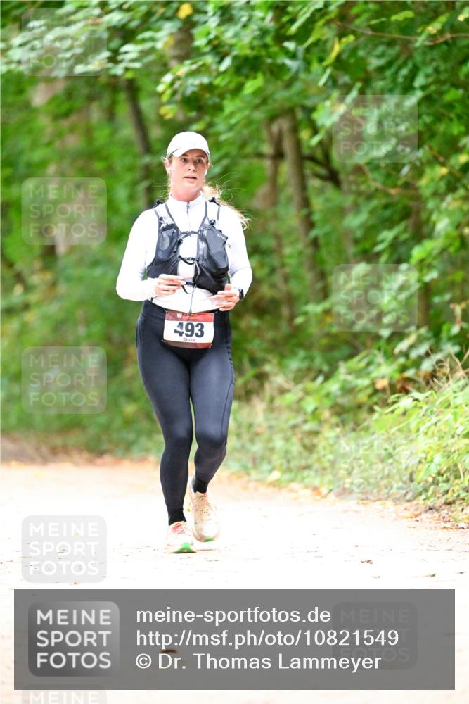 11.10.2026 - Bramfelder Halbmarathon 2026 Dr. Thomas Lammeyer http://msf.ph/oto/10821549 11.10.2026 10:28:09 Laufen 493 meine-sportfotos.de