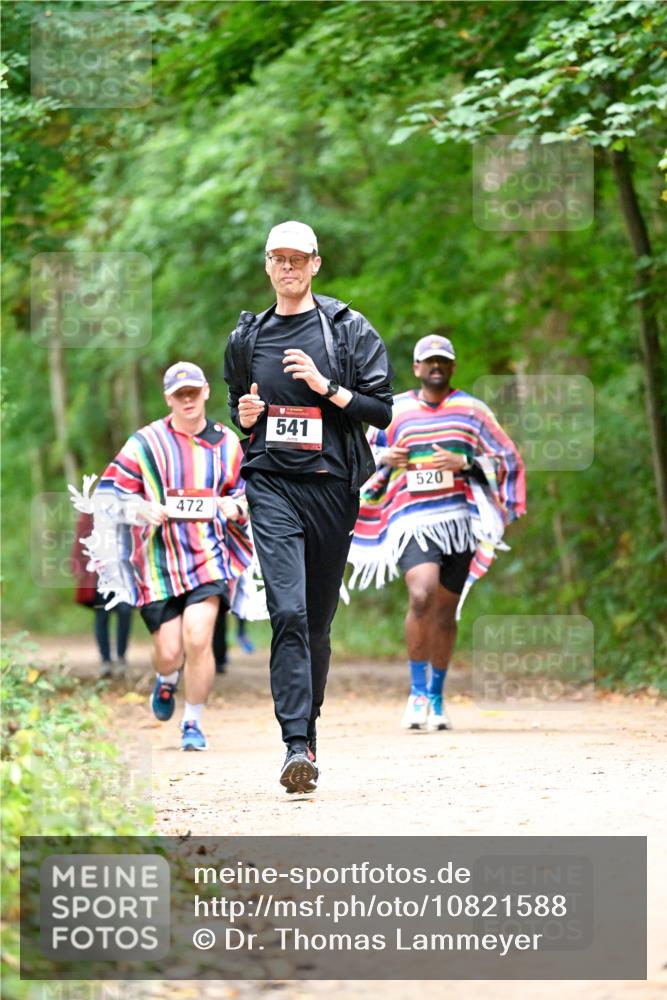 11.10.2026 - Bramfelder Halbmarathon 2026 Dr. Thomas Lammeyer http://msf.ph/oto/10821588 11.10.2026 10:28:25 Laufen 472, 541, 520 meine-sportfotos.de