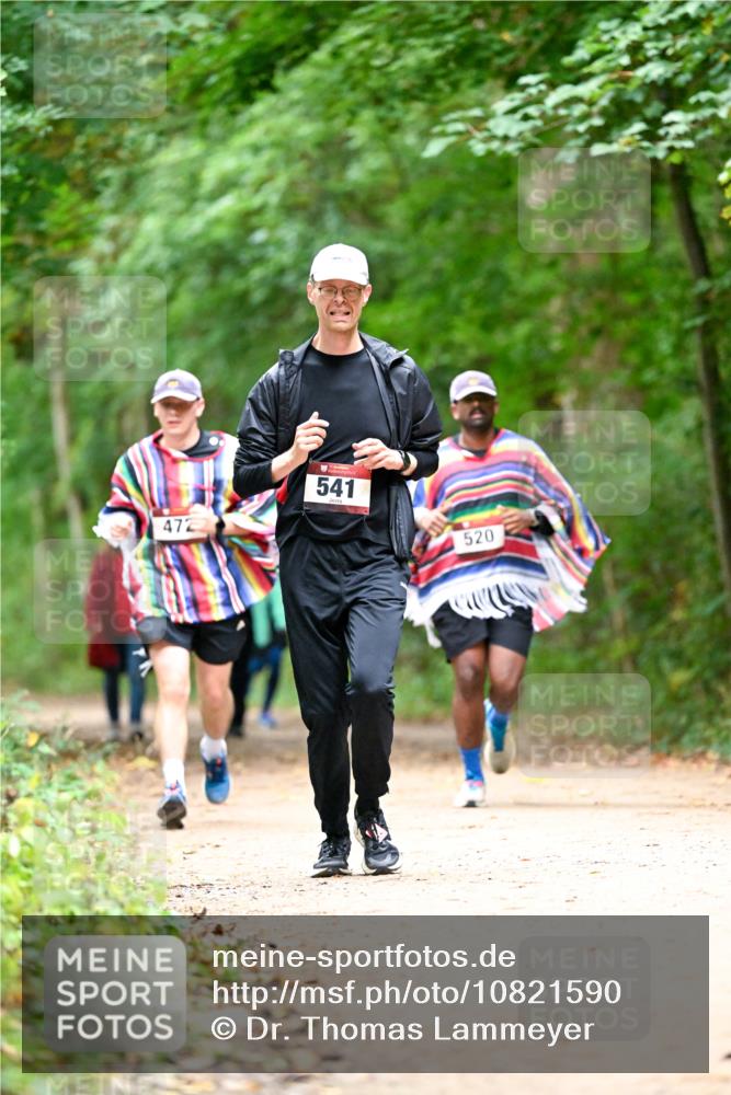 11.10.2026 - Bramfelder Halbmarathon 2026 Dr. Thomas Lammeyer http://msf.ph/oto/10821590 11.10.2026 10:28:25 Laufen 472, 541, 520 meine-sportfotos.de