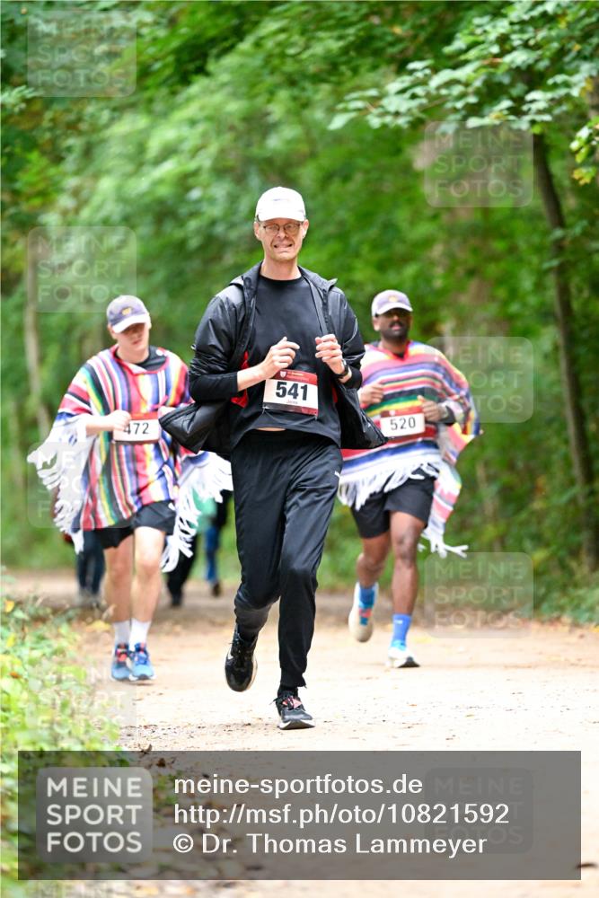 11.10.2026 - Bramfelder Halbmarathon 2026 Dr. Thomas Lammeyer http://msf.ph/oto/10821592 11.10.2026 10:28:26 Laufen 472, 541, 520 meine-sportfotos.de