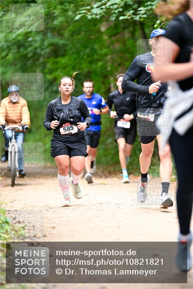 11.10.2026 - Bramfelder Halbmarathon 2026 Dr. Thomas Lammeyer http://msf.ph/oto/10821821 11.10.2026 10:30:01 Laufen 585, 75 meine-sportfotos.de