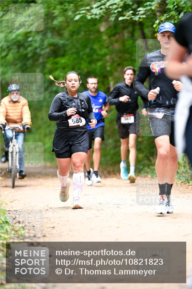 11.10.2026 - Bramfelder Halbmarathon 2026 Dr. Thomas Lammeyer http://msf.ph/oto/10821823 11.10.2026 10:30:01 Laufen 585, 75 meine-sportfotos.de