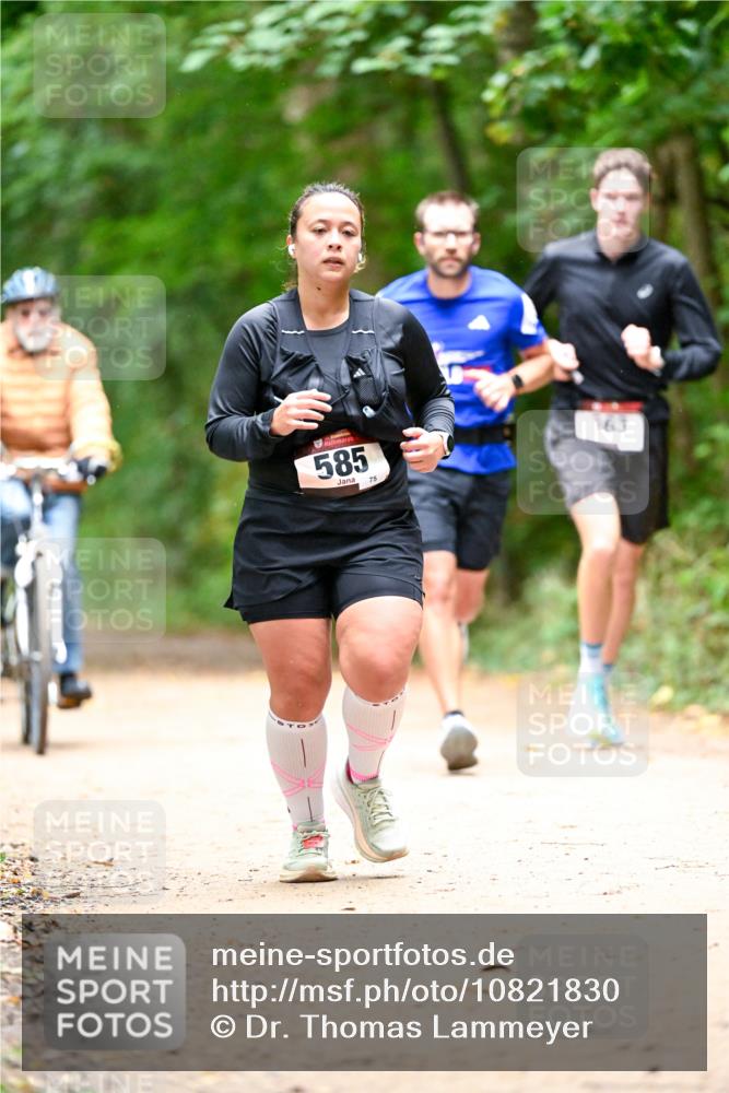 11.10.2026 - Bramfelder Halbmarathon 2026 Dr. Thomas Lammeyer http://msf.ph/oto/10821830 11.10.2026 10:30:03 Laufen 585, 75 meine-sportfotos.de
