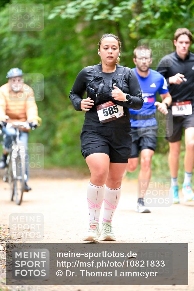 11.10.2026 - Bramfelder Halbmarathon 2026 Dr. Thomas Lammeyer http://msf.ph/oto/10821833 11.10.2026 10:30:03 Laufen 585, 75, 36 meine-sportfotos.de