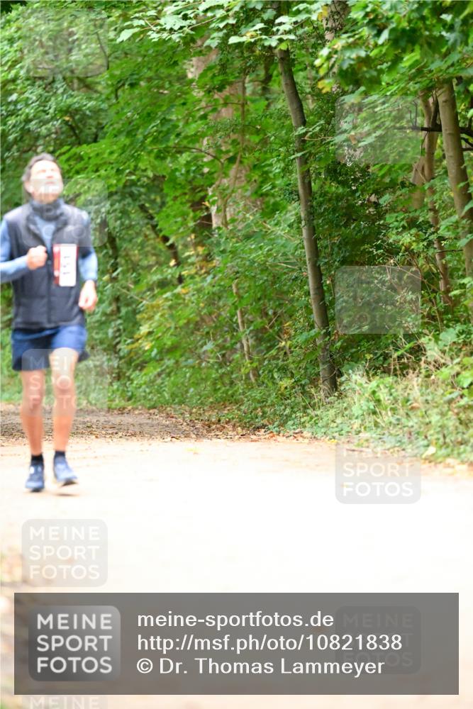 11.10.2026 - Bramfelder Halbmarathon 2026 Dr. Thomas Lammeyer http://msf.ph/oto/10821838 11.10.2026 10:30:09 Laufen  meine-sportfotos.de