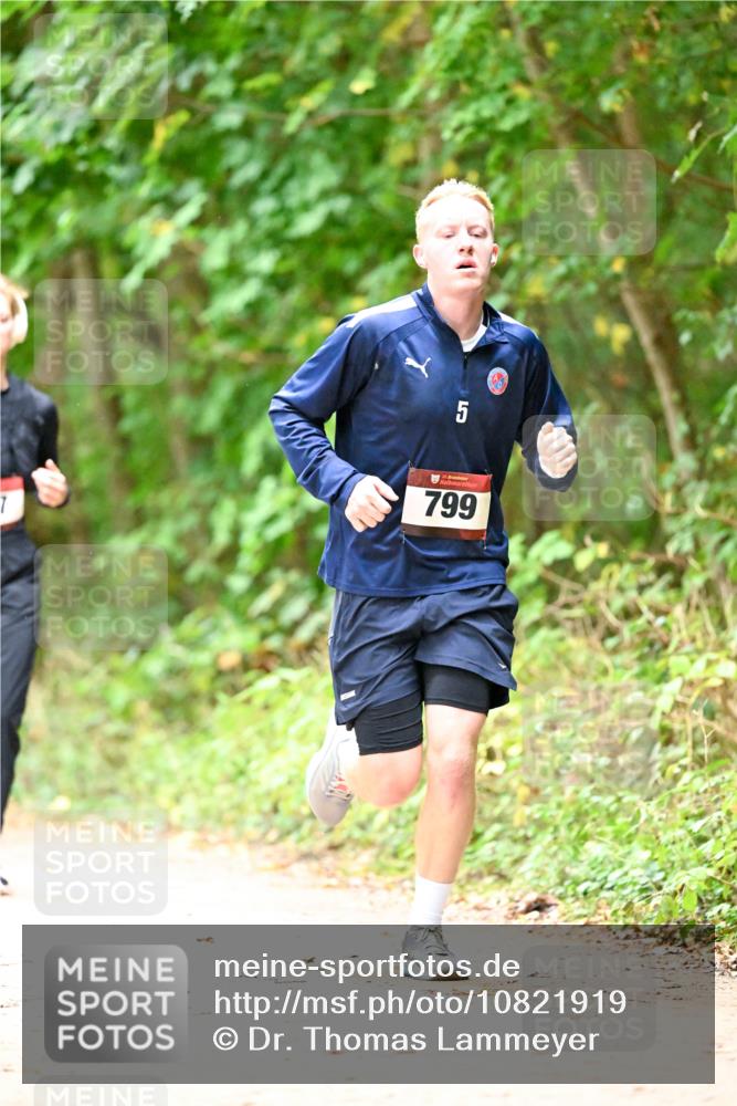 11.10.2026 - Bramfelder Halbmarathon 2026 Dr. Thomas Lammeyer http://msf.ph/oto/10821919 11.10.2026 10:30:44 Laufen 7, 5, 799 meine-sportfotos.de