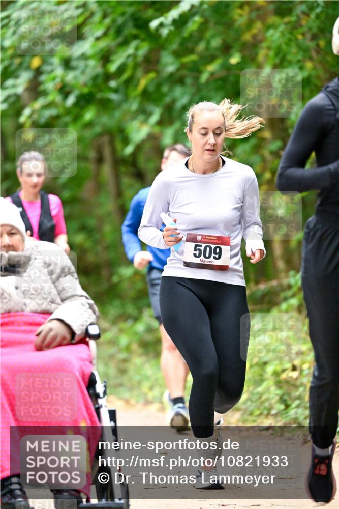 11.10.2026 - Bramfelder Halbmarathon 2026 Dr. Thomas Lammeyer http://msf.ph/oto/10821933 11.10.2026 10:30:47 Laufen 509 meine-sportfotos.de