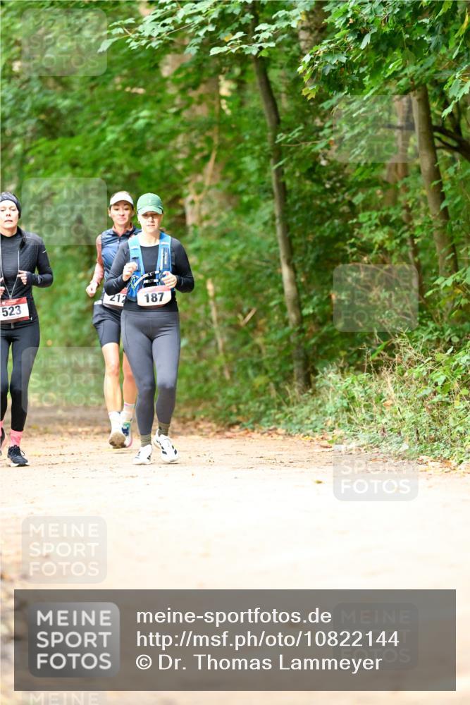 11.10.2026 - Bramfelder Halbmarathon 2026 Dr. Thomas Lammeyer http://msf.ph/oto/10822144 11.10.2026 10:32:24 Laufen 523, 212, 187 meine-sportfotos.de