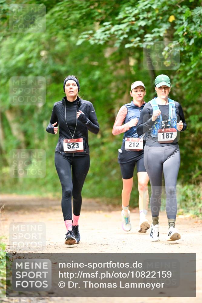 11.10.2026 - Bramfelder Halbmarathon 2026 Dr. Thomas Lammeyer http://msf.ph/oto/10822159 11.10.2026 10:32:27 Laufen 523, 212, 187 meine-sportfotos.de