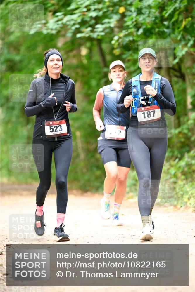 11.10.2026 - Bramfelder Halbmarathon 2026 Dr. Thomas Lammeyer http://msf.ph/oto/10822165 11.10.2026 10:32:28 Laufen 523, 187 meine-sportfotos.de