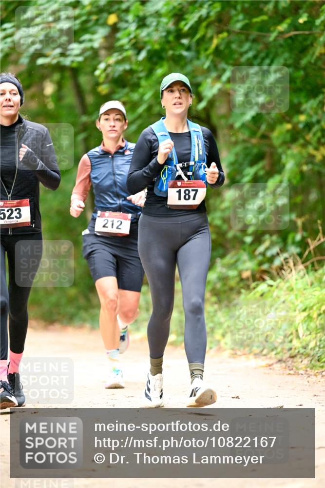 11.10.2026 - Bramfelder Halbmarathon 2026 Dr. Thomas Lammeyer http://msf.ph/oto/10822167 11.10.2026 10:32:28 Laufen 523, 212, 187 meine-sportfotos.de
