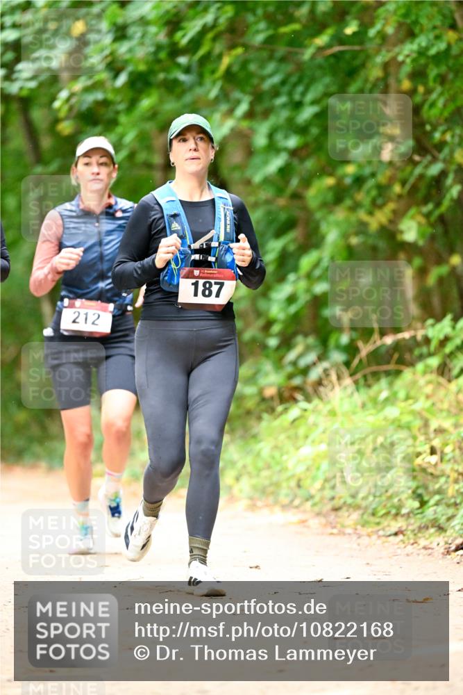 11.10.2026 - Bramfelder Halbmarathon 2026 Dr. Thomas Lammeyer http://msf.ph/oto/10822168 11.10.2026 10:32:29 Laufen 212, 187 meine-sportfotos.de