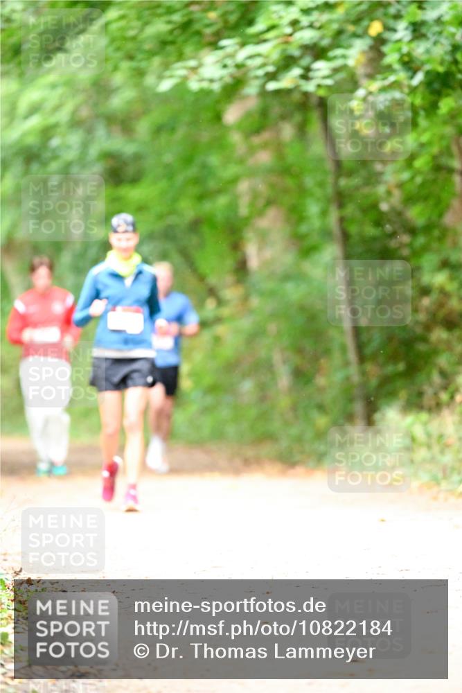 11.10.2026 - Bramfelder Halbmarathon 2026 Dr. Thomas Lammeyer http://msf.ph/oto/10822184 11.10.2026 10:33:16 Laufen  meine-sportfotos.de