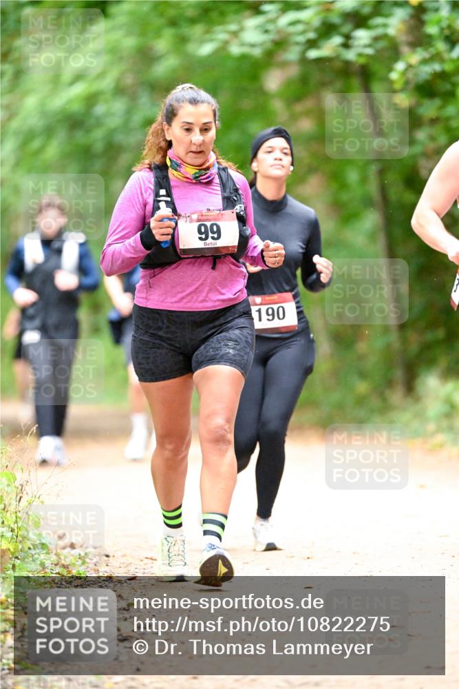 11.10.2026 - Bramfelder Halbmarathon 2026 Dr. Thomas Lammeyer http://msf.ph/oto/10822275 11.10.2026 10:33:54 Laufen 99, 190 meine-sportfotos.de