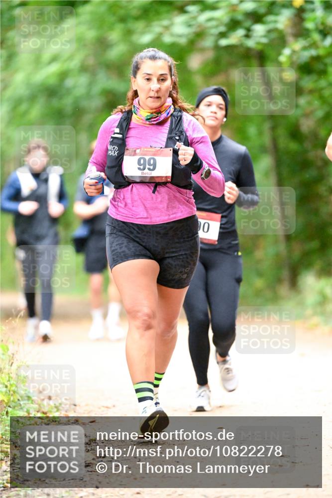 11.10.2026 - Bramfelder Halbmarathon 2026 Dr. Thomas Lammeyer http://msf.ph/oto/10822278 11.10.2026 10:33:55 Laufen 99, 0 meine-sportfotos.de
